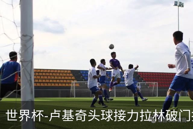 世界杯-卢基奇头球接力拉林破门扳平 加拿大1-1波黑