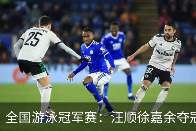 全国游泳冠军赛：汪顺徐嘉余夺冠 成绩将成亚运会选拔依据