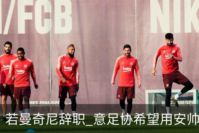 若曼奇尼辞职 意足协希望用安帅或卡纳瓦罗替代